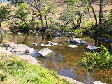 Farm For Sale - NSW - Rocky River - 2372 - ROCKY RIVER STATION  (Image 2)