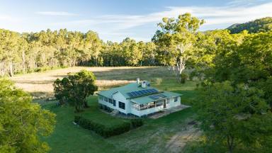 Farm For Sale - NSW - Rocky River - 2372 - ROCKY RIVER STATION  (Image 2)