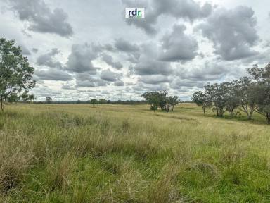 Farm Sold - NSW - Inverell - 2360 - NOOROOK  (Image 2)