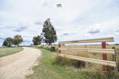 Farm Sold - NSW - Inverell - 2360 - NOOROOK  (Image 2)