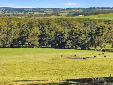Farm For Sale - VIC - Kardella South - 3950 - Discover this, Gem!  (Image 2)