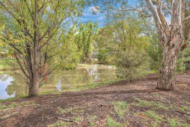 Farm Sold - NSW - Moama - 2731 - Offers Close - Thursday 11th May - 5pm....Price guide $850,000 - $930,000  (Image 2)