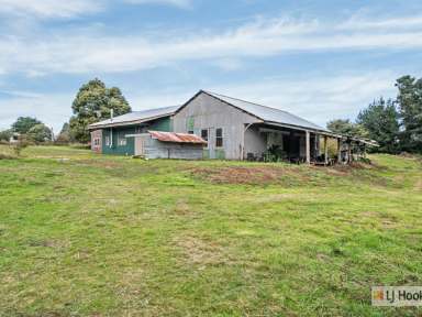 Farm For Sale - TAS - Upper Castra - 7315 - Unlock the Potential of This Unique Property  (Image 2)