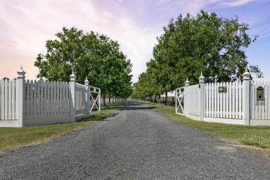 Farm Sold - QLD - Westbrook - 4350 - Your Rural Lifestyle Awaits... Welcome to "Middle Walk"  (Image 2)