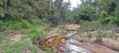 Farm Sold - QLD - Gaeta - 4671 - 43.4 Acre Bush block with Creek  (Image 2)