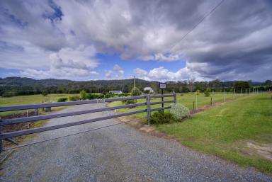 Farm For Sale - NSW - Bunyah - 2429 - 'Manning Hill Cottage'  (Image 2)