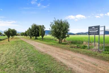 Farm Sold - NSW - Currabubula - 2342 - Rare Opportunity on the edge of the Liverpool Plains  (Image 2)