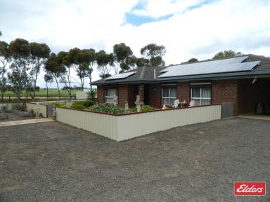 Farm Sold - SA - Magdala - 5400 - UNDER CONTRACT BY ANDREW PIKE  (Image 2)