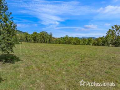 Farm Sold - QLD - Glastonbury - 4570 - Rural Land With Creek Frontage  (Image 2)