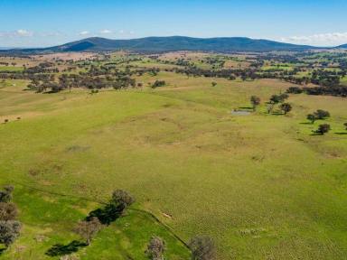 Farm Sold - NSW - Cootamundra - 2590 - Gilgal  (Image 2)
