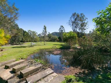 Farm Sold - QLD - Samford Valley - 4520 - SOLD - Another Great Result  (Image 2)