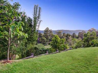 Farm Sold - QLD - Camp Mountain - 4520 - Hola!  (Image 2)