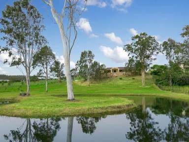 Farm Sold - QLD - Samford Valley - 4520 - Make Your Move to Samford Royal Estates  (Image 2)