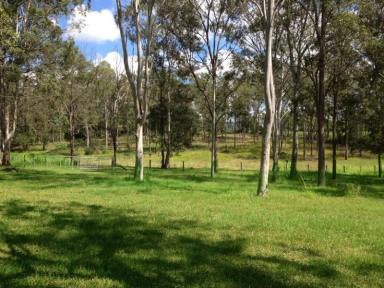 Farm Sold - QLD - Camp Mountain - 4520 - Build your dream home here  (Image 2)