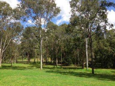 Farm Sold - QLD - Camp Mountain - 4520 - Build your dream home here  (Image 2)