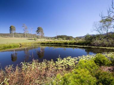 Farm Sold - QLD - Wights Mountain - 4520 - 5 Acres with views.  (Image 2)