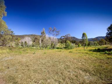 Farm Sold - QLD - Wights Mountain - 4520 - 5 Acres with views.  (Image 2)