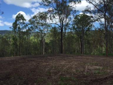Farm Sold - QLD - Wights Mountain - 4520 - The World Is your Oyster - And So Is This Block of Land  (Image 2)
