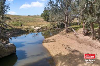 Farm For Sale - VIC - Redesdale - 3444 - Private Retreat Along the Coliban River – 111 Acres  (Image 2)