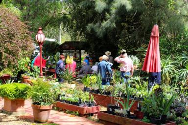 Farm For Sale - VIC - Chiltern - 3683 - OUT OF TOWN NURSERY & HUMMING GARDEN  (Image 2)