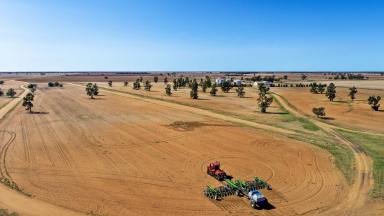 Farm Sold - NSW - Warren - 2824 - Prime Farming Country - Quality Seldom Found  (Image 2)
