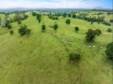 Farm For Sale - QLD - Veteran - 4570 - 152 ACRES 4 TITLES  (Image 2)