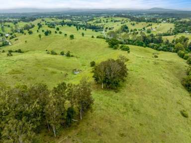 Farm For Sale - QLD - Veteran - 4570 - 152 ACRES 4 TITLES  (Image 2)