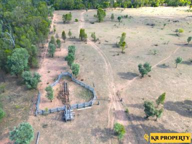 Farm Sold - NSW - Pilliga - 2388 - PROMISING OPPORTUNITY  (Image 2)