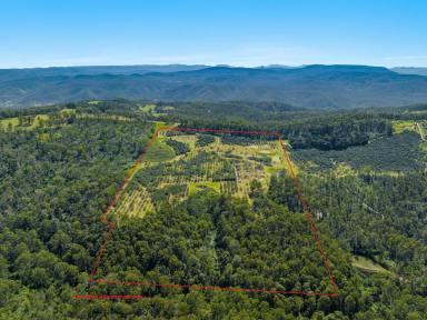 Farm For Sale - NSW - Tabulam - 2469 - Elevated with Views and Income  (Image 2)