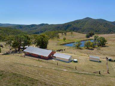 Farm Sold - NSW - South Bowenfels - 2790 - Picturesque rural lifestyle on the edge of the Blue Mountains  (Image 2)