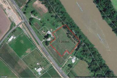 Farm For Sale - QLD - Long Pocket - 4850 - 1.25 HECTARE (OVER 3 ACRE) PROPERTY WEST OF INGHAM!  (Image 2)