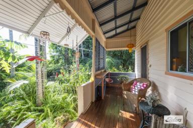 Farm Auction - NSW - Grafton - 2460 - JUST MAGIC - A CHARMING HOME AND RAINFOREST IN TOWN  (Image 2)