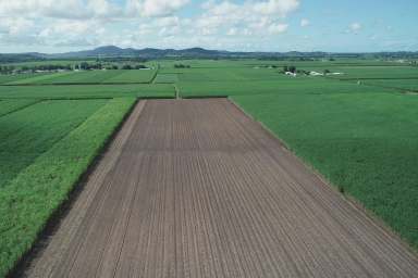 Farm Sold - QLD - Alexandra - 4740 - SOUGHT AFTER FARMING AREA         "OWNER IS RETIRING"  (Image 2)