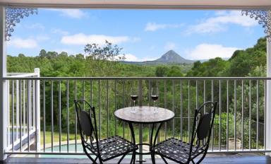 Farm Sold - QLD - Black Mountain - 4563 - Magical Queenslander With Majestic Mountain Views  (Image 2)