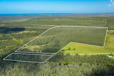 Farm Sold - NSW - Crescent Head - 2440 - 116 - Acres Ripe with Opportunity-10-minutes to Beach  (Image 2)