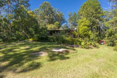 Farm Sold - NSW - Mount Burrell - 2484 - 'The Glen" - Family Home In Tranquil Setting.  (Image 2)