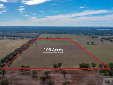 Farm Sold - VIC - Norong - 3682 - Lifestyle along with quality mixed farming opportunity 
40Ha - 100 Acres  (Image 2)