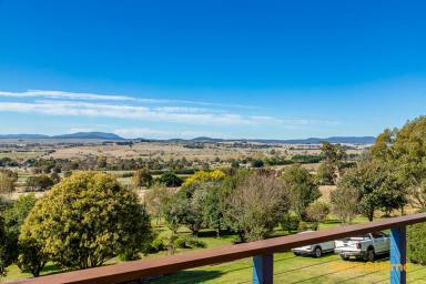 Farm For Sale - NSW - Braidwood - 2622 - Views to the Horizon!  (Image 2)