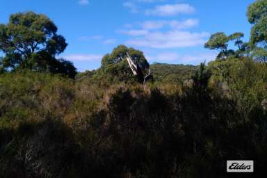 Farm Sold - TAS - Rocky Cape - 7321 - ESCAPE TO THE COUNTRY (OR BEACH, OR NATIONAL PARK....)  (Image 2)