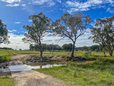 Farm Sold - NSW - Bundarra - 2359 - Baker's Creek Breeder Block  (Image 2)