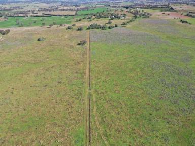 Farm Sold - NSW - Young - 2594 - "Thenford Hills" 264acs*  (Image 2)