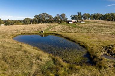 Farm Sold - NSW - Rosewood - 2652 - High Country Living  (Image 2)