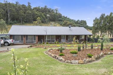 Farm Sold - TAS - Woodsdale - 7120 - Perfect for all! Farmers, investors, retirees or just looking to escape to the country  (Image 2)