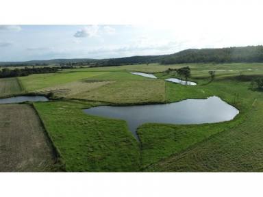 Farm For Sale - QLD - Redgate - 4605 - Water, Infrastructure, Income  (Image 2)