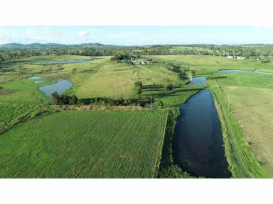 Farm For Sale - QLD - Redgate - 4605 - Water, Infrastructure, Income  (Image 2)