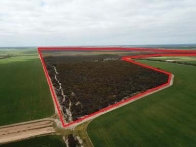 Farm Sold - WA - West River - 6346 - Bilga  (Image 2)