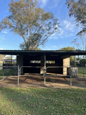 Farm Sold - QLD - Caboolture - 4510 - HORSE LOVERS DELIGHT + GRANNY FLAT + 3 BAY SHED WITH POWER  (Image 2)