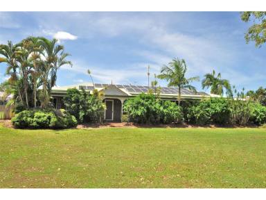 Farm Sold - QLD - Mareeba - 4880 - Big country family home with more  (Image 2)