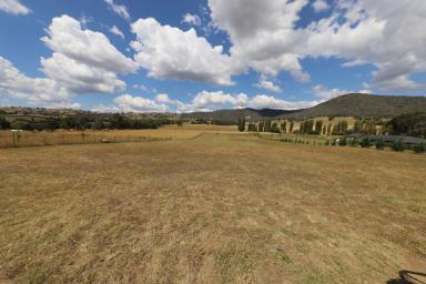 Farm Sold - NSW - Adelong - 2729 - Build your dream home  (Image 2)