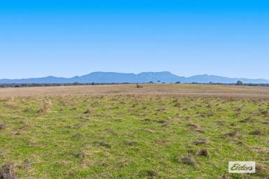 Farm Sold - VIC - Moyston - 3377 - Grampians Views - Lifestyle, Livestock, Cropping (80 acres)  (Image 2)